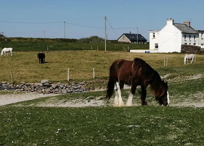 Comforts Dom wakacyjny Castleisland